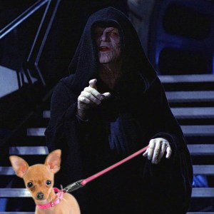 Emperor Dog